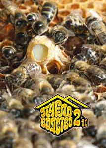 журнал Пчеловодство № 2 2010