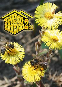 Обложка Пчеловодство № 2 2016