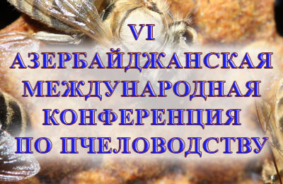 конференция по пчеловодству