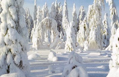 зима, Финляндия