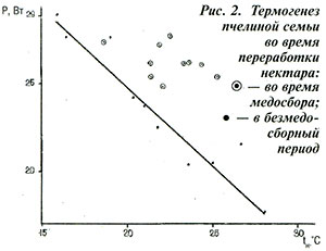 Термогенез пчелиной семьи