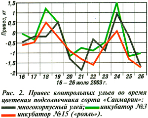 Привес контрольных ульев во время цветения подсолнечника