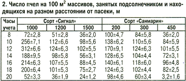 Число пчел на опылении подсолнечника