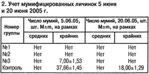 Учет мумифицированных личинок