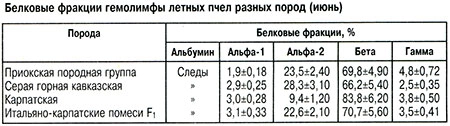 Белковые фракции гемолимфы разных пород пчел