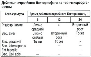 Действие бактериофага
