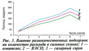 Влияние подкормок на расплод
