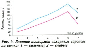 Влияние сахарного сиропа на пчел