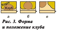 Форма и положение клуба