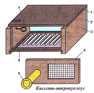 кассета-микронуклеус