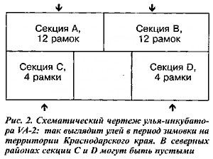 Улей-инкубатор