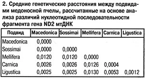 Средние генетические расстояния между подвидами пчел