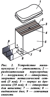 Нуклеус 