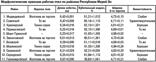 Морфометрические характеристики пчел
