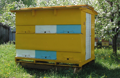 Павильон для содержания 12 семей пчел