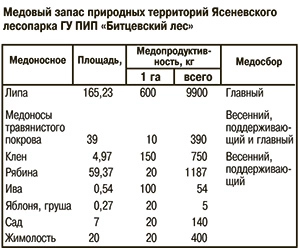 Медовый запас