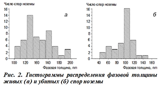 Гистограммы рис 2