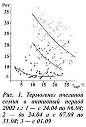 Термогенез пчелиной семьи в активный период