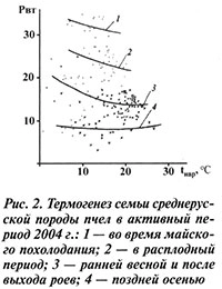 Термогенез семьи среднерусской породы