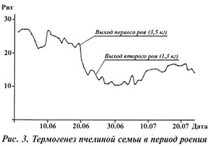 Термогенез в период роения