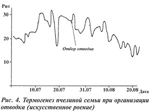 Термогенез при организации отводка