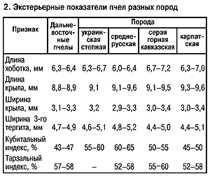 Экстерьер пчел разных пород