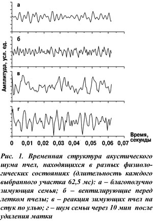 Временная структура акустического шума