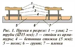 пасека