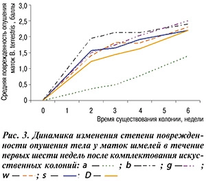 шмели