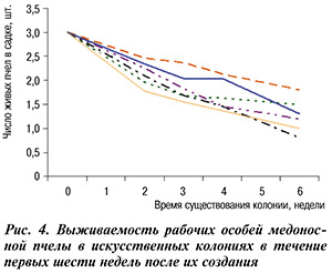 шмели