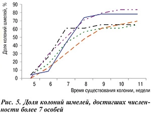 шмели