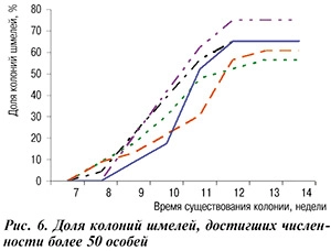 шмели
