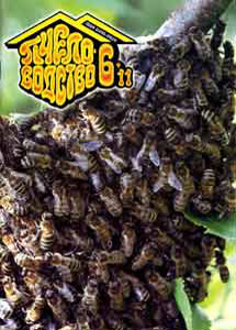 журнал Пчеловодство № 6 2011