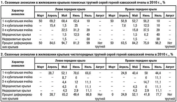 Сезонные аномалии в жилковании крыльев