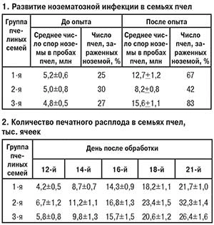 Развитие нозематозной инфекции в семьях пчел