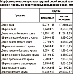 Морфометрические признаки трутней