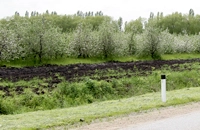 цветущие сады