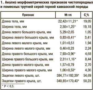 Анализ морфометрических признаков чистопородных и помесных трутней серой горной кавказской породы