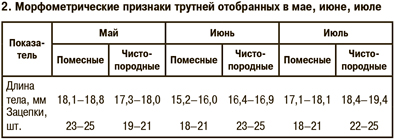 Морфометрические признаки трутней отобранных в мае, июне, июле