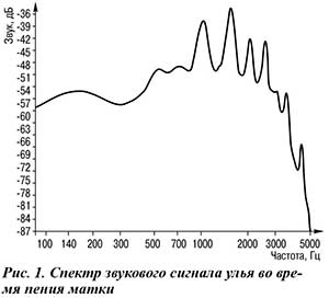 Звук пчелиной семьи