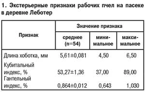 Экстерьерные признаки рабочих пчел