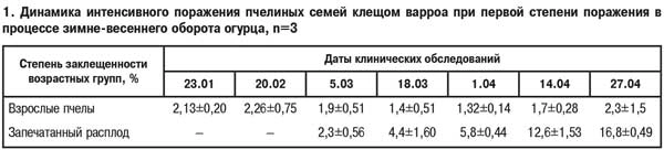 Динамика поражения пчел клещом варроа