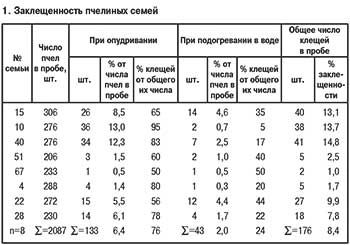 Заклещенность пчелиных семей