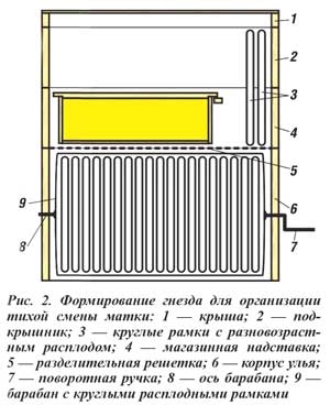 Формирование гнезда