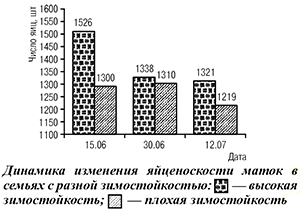 Динамика изменения яйценоскости маток