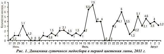Динамика суточного медосбора в период цветения липы