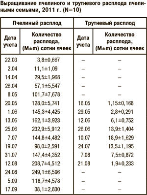 Выращивание пчелиного и трутневого расплода пчелиными семьями