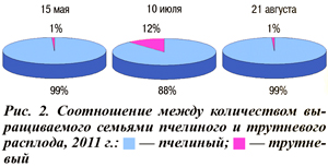 Соотношение между количеством выращиваемого семьями пчелиного и трутневого расплода