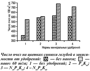 Число пчел на цветках синюхи