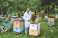 Что самое сложное и ценное в пчеловодстве?